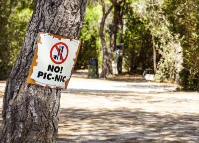 عجیب اما باورکردنی: درختان گوشتخوارند عجیب اما باورکردنی: درختان گوشتخوارند